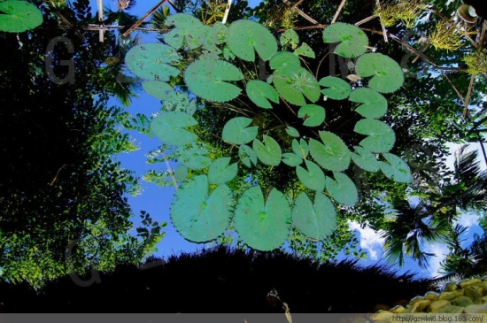 ����<span class=lxw>[ע: ����ʡ-���ϣ�Ӣ������Hai Nan����ʡ�᣺���ڣ���ƣ����� ����ʡ��1988��4��13�գ����߽�ȫ�������������һ�λ���ͨ����������������ʡ�ľ������͡����ڽ������Ͼ��������ľ��顷��1988��4]</span>��ͤ<span class=lxw>[ע: ����ͤ�������24�꣨1935��6�£����ء�����Դ�ԡ���ͣ˾����1948��2��11�գ���ͤ�سǽ�š�����4��16�ճ�����ͤ������������]</span>���-������Ӱ