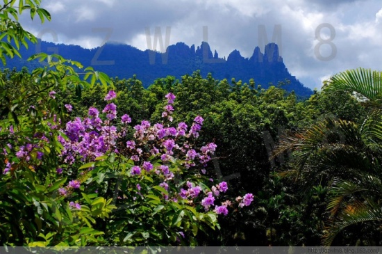 ���ϱ�ͤ���-������Ӱ