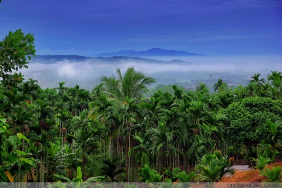 ���ϱ�ͤ���-������Ӱ