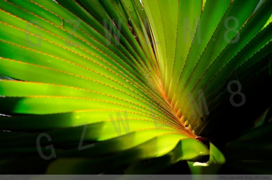 ���ϱ�ͤ���-������Ӱ