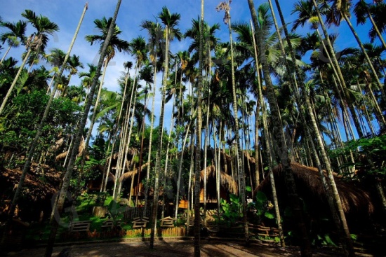 ���ϱ�ͤ���-������Ӱ