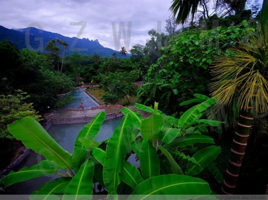 ���ϱ�ͤ���-������Ӱ