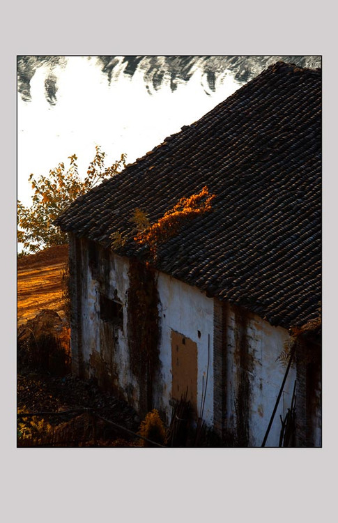 ɽ�徰ɫ-��Ȼ�羰