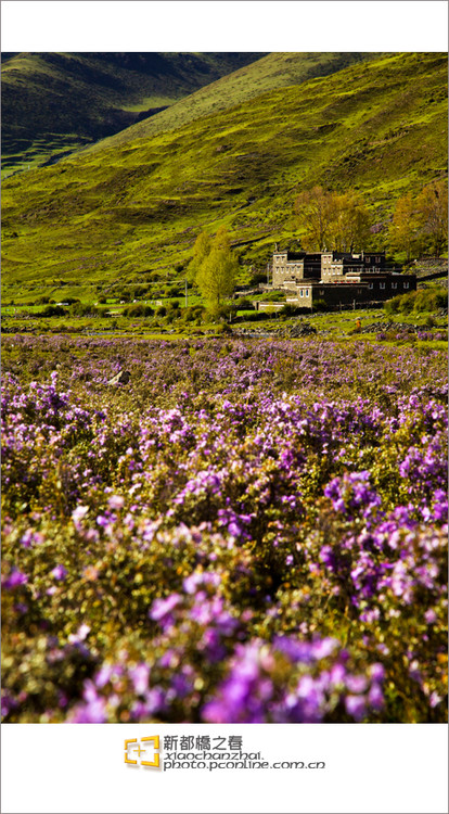 �¶���֮��-���ϵ���