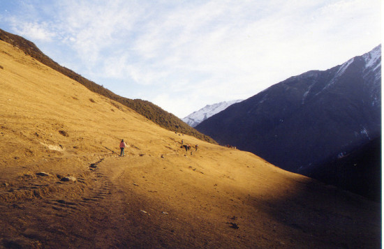 �Ĺ���ɽ���ӹ�1-���ϵ���