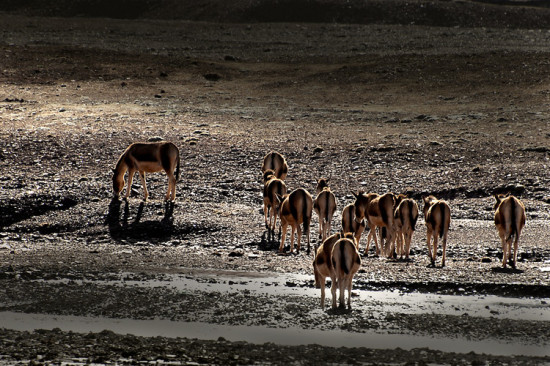 ������-���ϵ���