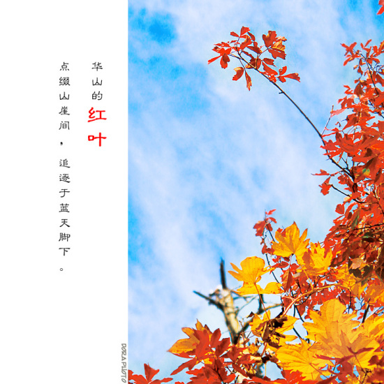 ʱ�䵹�� ��ɽɢ��-��Ȼ�羰