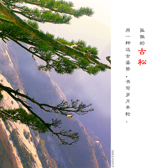 ʱ�䵹�� ��ɽɢ��-��Ȼ�羰