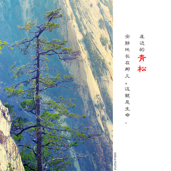 ʱ�䵹�� ��ɽɢ��-��Ȼ�羰