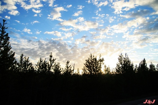 ����ٹ��ҹ�԰-��Ȼ�羰