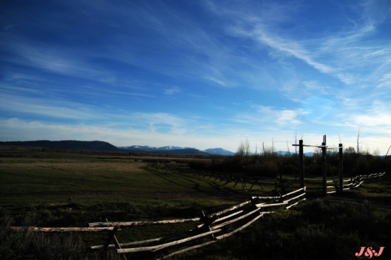 ����ٹ��ҹ�԰-��Ȼ�羰