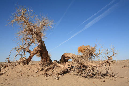 �����<span class=lxw>[ע: �������-�������λ�����ɹ������������ˣ����������ص���ֵ�19���߾��죨�ء��У�֮һ�����ڶ���ɺӶ�������λ�ڰ�������������]</span>��ɫ-��������