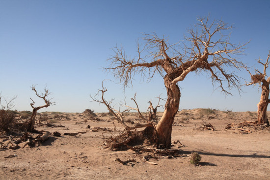 �������ɫ-��������