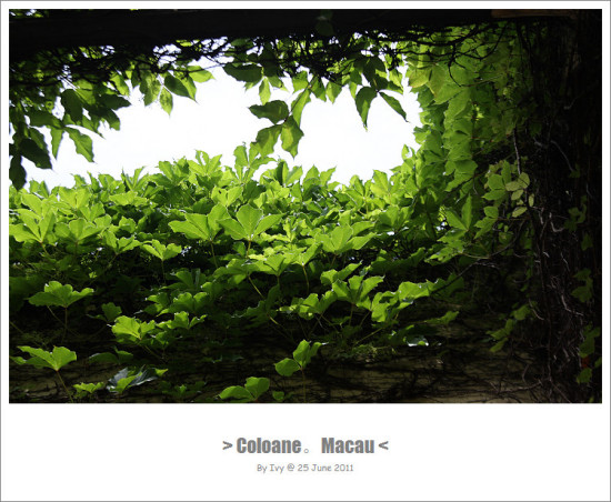 ����СƷ(1)__��˹͡-������Ӱ