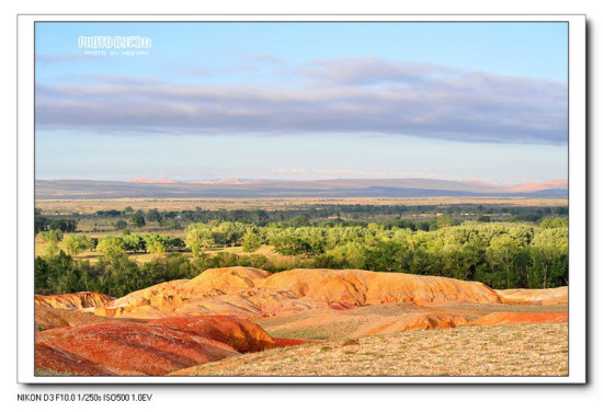 ���̲----�����½�-��������