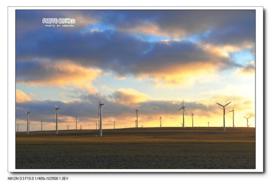 ���̲----�����½�-��������