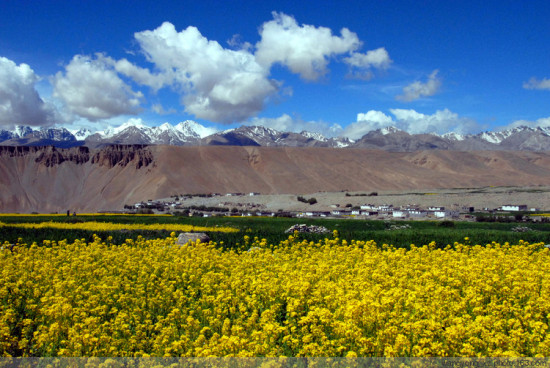 ���ذ������-���ϵ���