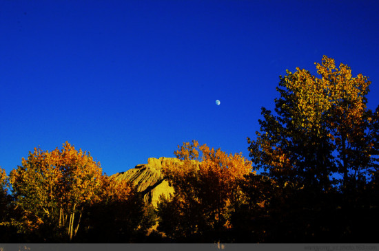 ���ذ������-���ϵ���