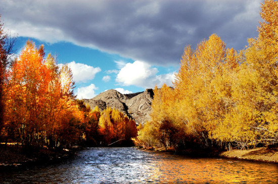 ������ɽ��Ĺ屦-�ɿ��к�-��������