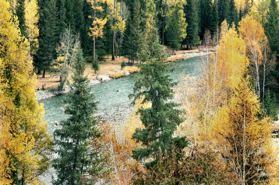 ������ɽ��Ĺ屦-�ɿ��к�-��������