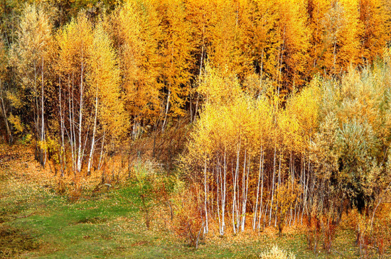 ������ɽ��Ĺ屦-�ɿ��к�-��������