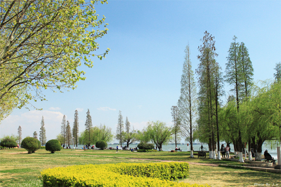 ������غ�����԰-���ϵ���