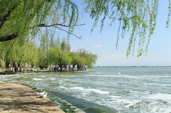 ������غ�����԰-���ϵ���