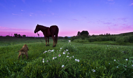 �峿��С�ӱ�-��Ȼ�羰