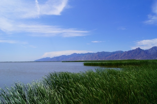 �����μ�-��������