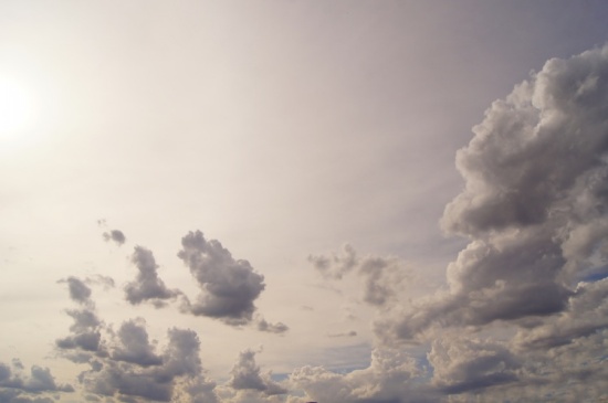 �����μ�-��������