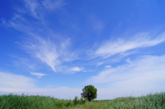 �����μ�-��������