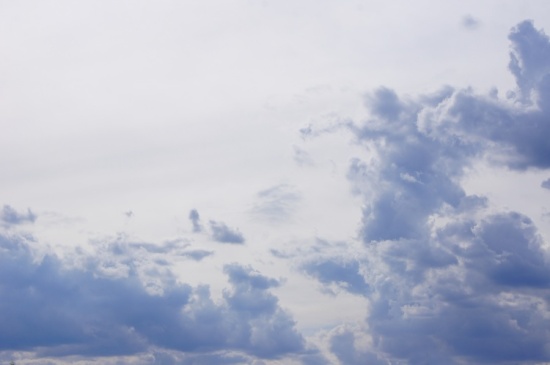 �����μ�-��������