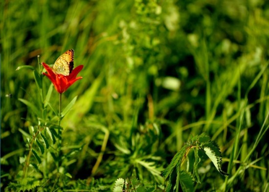 ���ķ���-��Ȼ�羰