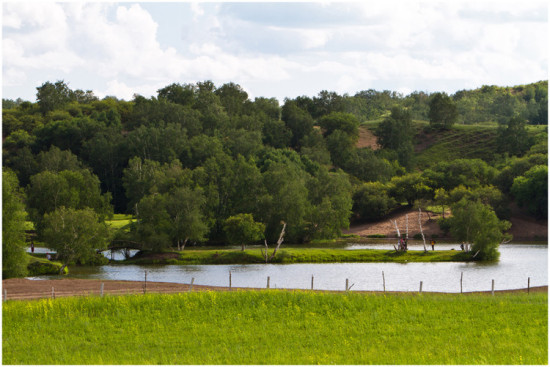 ���հ��ϡ��������������Ͽ��-��������