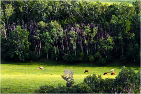 ���հ��ϡ��������������Ͽ��-��������