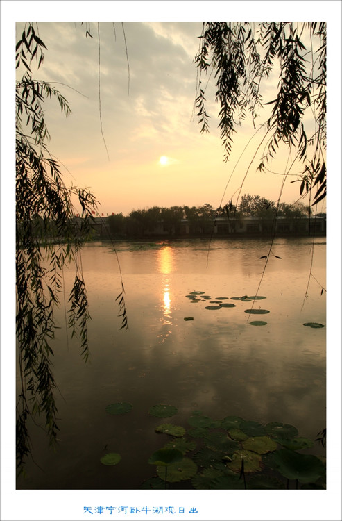 ��ţ�����պ���-��Ȼ�羰