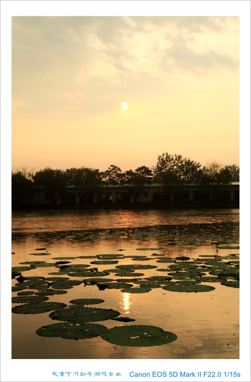 ��ţ�����պ���-��Ȼ�羰