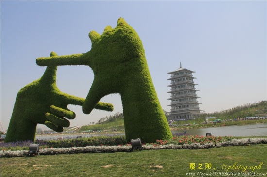 ��������Բ-������Ӱ