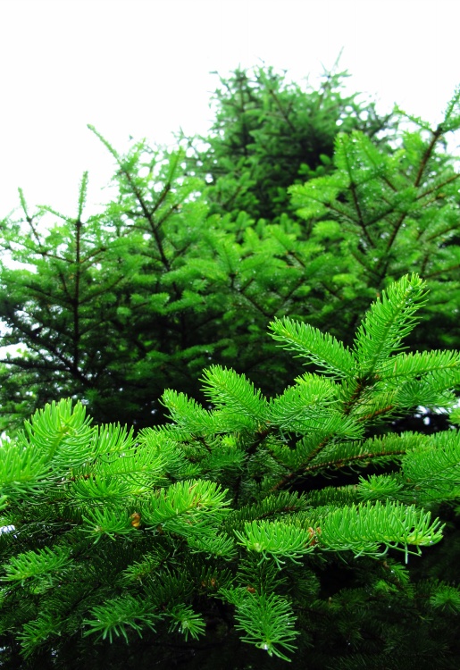 ����ɽ��;1���������죬��ʰ��Ұ-��Ȼ�羰