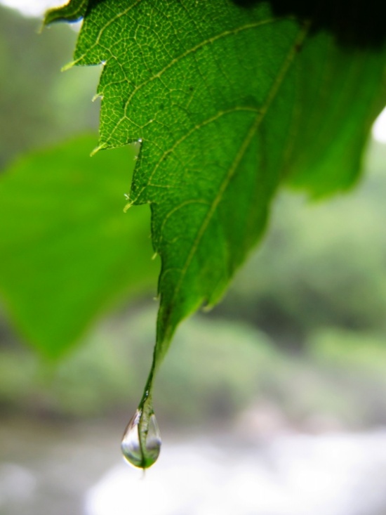 ����ɽ��;1���������죬��ʰ��Ұ-��Ȼ�羰