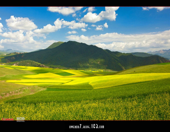 �����ຣ<span class=lxw>[ע: �ຣʡ-�ຣʡ����࣬�ų���������ˮ��������Ǽ������ʮ����ʱ��ʼ���ຣ������ƴ��²����ɹ���ƿ��ŵ��������Ϊ��ɫ�ĺ���]</span> ������俪-��������