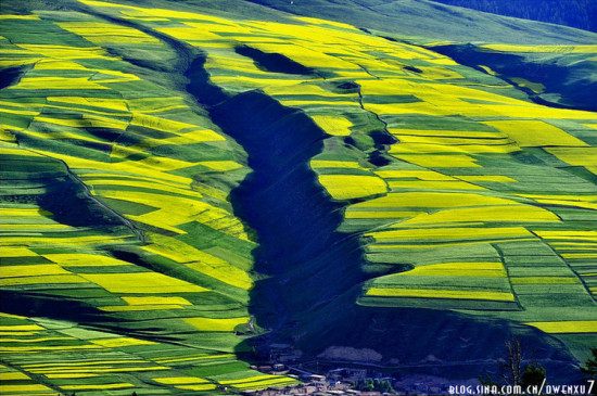 �����ຣ ������俪-��������