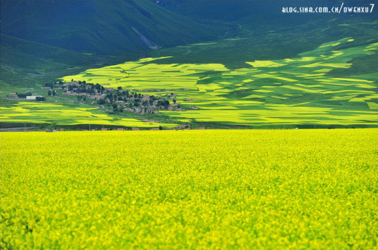 �����ຣ ������俪-��������