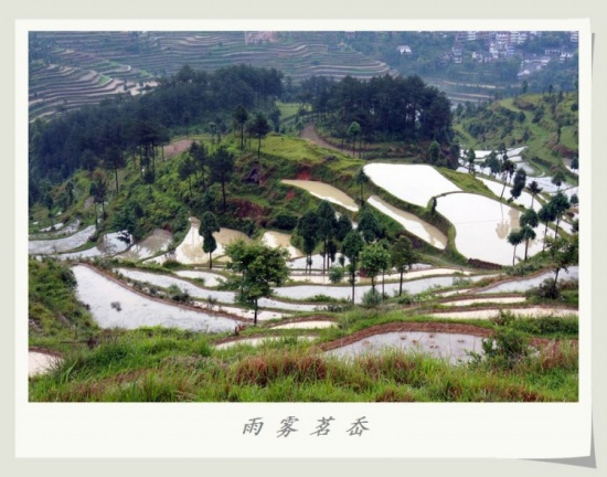 �����е����-��Ȼ�羰