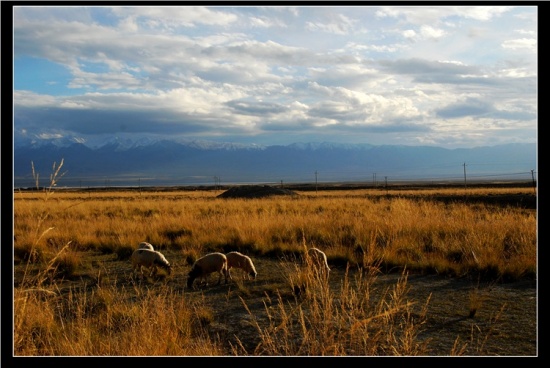 �迨��������-��Ȼ�羰