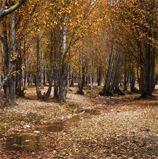 ��������-���ϵ���