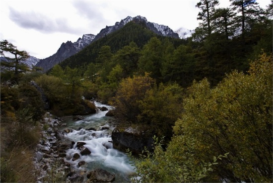 ��������-���ϵ���