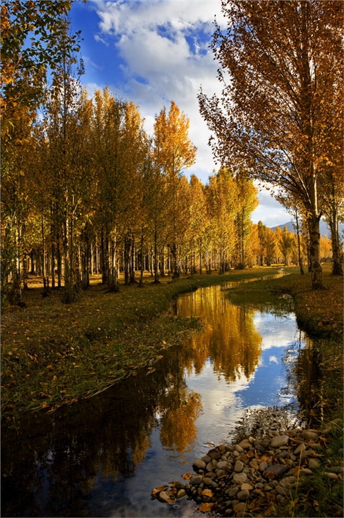 ��������-���ϵ���