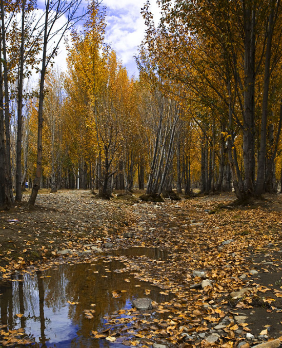 ��������-���ϵ���