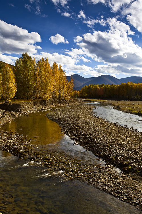 ��������-���ϵ���